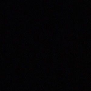 Meet your Posher, Bailey